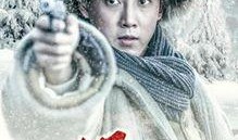 电视剧林海雪原在线观看,传奇英雄的雪地征程，重温经典革命故事