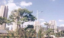 云南昆明最新爆料,揭秘春城新动向与神秘事件