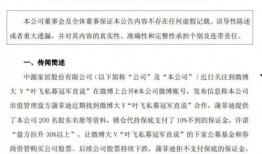 全冠积木爆料最新消息,颠覆传统积木体验，创新之作即将亮相