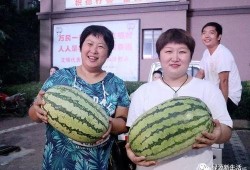 吃瓜网红照片大全高清