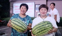 吃瓜网红照片大全高清