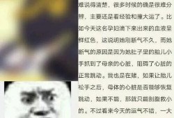 吃瓜沙雕剧情小说免费阅读,沙雕剧情小说免费阅读大揭秘