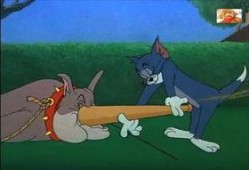 猫和老鼠11月爆料视频,精彩剧情抢先看，经典对决即将升级！