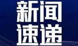 新闻news爆料,揭秘事件背后真相
