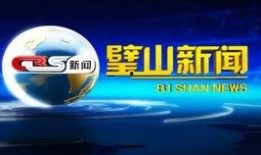 河南最新的爆料新闻报道,揭秘某重大事件背后真相