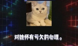 娱乐八卦吃瓜网站下载安装,热门八卦网站下载安装全攻略
