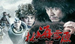 电视剧林海雪原在线观看,传奇英雄的雪地征程，重温经典革命故事