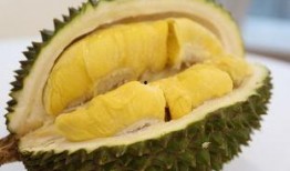 娱乐吃瓜酱200块榴莲,200元榴莲背后的娱乐圈吃瓜大揭秘