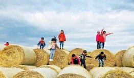 美国割韭菜爆料事件视频