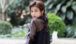 白鹿娱乐爆料,揭秘娱乐圈幕后真相