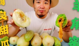 吃瓜网红泡泡,吃瓜网红的娱乐江湖