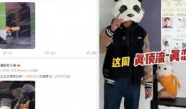 狗仔刘大锤爆料视频全集,视频全集大揭秘