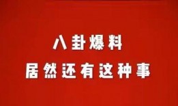 娱圈新人娱乐爆料有哪些,揭秘娱乐圈幕后故事
