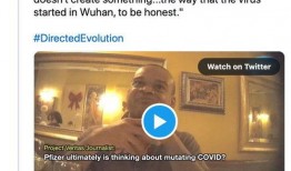 辉瑞高管 爆料新闻视频,揭秘疫苗研发内幕与行业真相