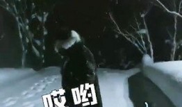 网络爆料李易峰视频,揭秘明星私生活瞬间