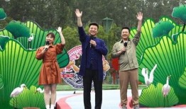 最新蓬莱爆料新闻视频,揭秘神秘事件背后的真相