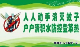 广东今日焦点爆料,揭秘重大事件背后的真相与影响