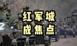 军旅热点爆料视频