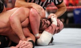 娱乐吃瓜酱强烈的不舍,深情回顾那些难忘瞬间