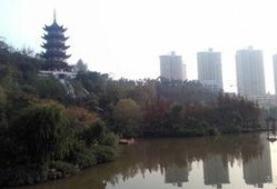 永川望龙湖爆料事件最新,真相揭晓，疑云散去