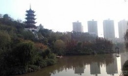 永川望龙湖爆料事件最新,真相揭晓，疑云散去