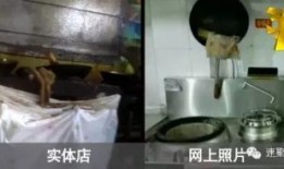 济南黑心宠物店爆料视频,视频曝光惊人内幕