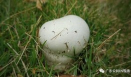 医生爆料乱开药视频播放,视频曝光医疗乱象触目惊心