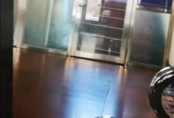哈尔滨学校爆料视频最新,揭秘校园内幕