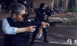 缉枪电影在线观看,缉枪行动大揭秘