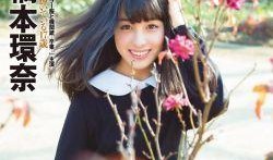 最新在线观看,揭秘年度爆款影视作品