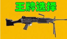 和平精英最新爆料新枪械,神秘性能引发热议，玩家期待新战场霸主