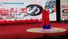 河南梨园频道在线观看,在线欣赏传统戏曲艺术的窗口