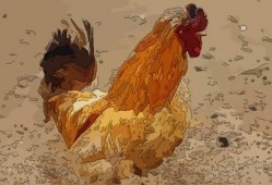 周公鸡爆料视频大全最新,揭秘娱乐圈幕后真相