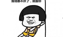 大马爆料爆笑视频大全集,爆笑集结！大马爆料视频大全集笑料横生