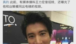 王力宏视频爆料,娱乐圈背后的惊人真相
