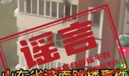 越南招商爆料事件视频