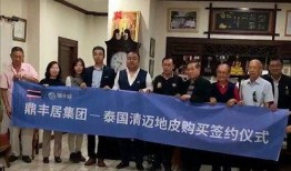 鼎丰集团爆料事件始末视频,揭秘始末与真相揭晓