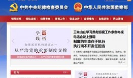 南宁新闻爆料找谁举报,揭秘举报途径，助力共建和谐社区