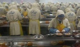 剥虾工人爆料怎么做视频,揭秘视频制作背后的辛酸与真相