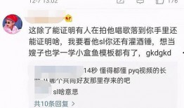 丁姐姐被爆料视频,揭秘背后真相与争议