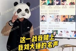 狗仔刘大锤爆料视频全集,视频全集大揭秘