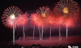 烟花完整版在线观看,在线完整版烟花秀精彩回顾
