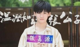 张真源私生爆料视频在线观看,揭秘明星私生活背后的真相