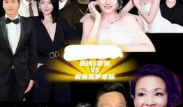 张兰爆料保姆视频大全,揭秘家政服务背后的真相