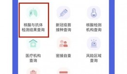 邛崃市最新爆料消息公布,揭秘城市发展与民生改善新动态