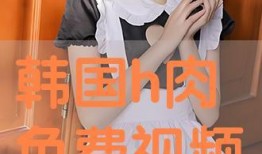 免费韩国视频在线观看,免费韩国视频在线观看指南