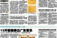 广州的新闻如何爆料,聚焦城市热点事件，揭示真相与民意呼声