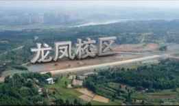 缙云校区爆料案件最新