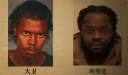 詹尼弗手机在线观看,在线观看，解锁精彩瞬间