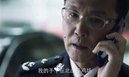 李飞爆料分享视频在线观看,揭秘视频在线观看背后的精彩瞬间